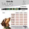 Dakini Collar Artesanal para Perro con Acabados de Lujo. Extra