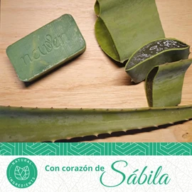 Newen Jabón corporal Natural - Kit spa 4 Barras con ingredientes activos, Sábila, Carbón, Lavanda y Avena, Manzanilla, Miel. (Sábila)