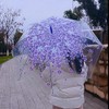 Cherry Blossoms Umbrella Cute Transparent Bubble Umbrella Clear Dome Semi-Automatic