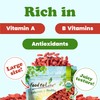 Food to Live Organic Goji Berries, 4 Pounds - Sun
