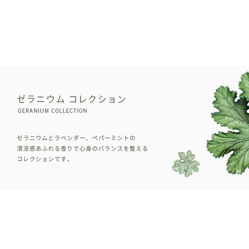 bamford geranium hand & body lotion body cream 250ml