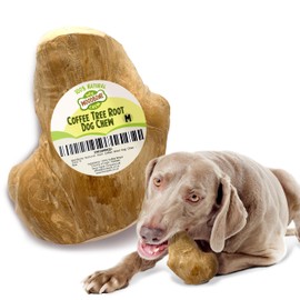 Woodbone Coffee Tree Root Dog Chew for Medium Dogs - Natural Wood Dental Chewing Toy - Size M