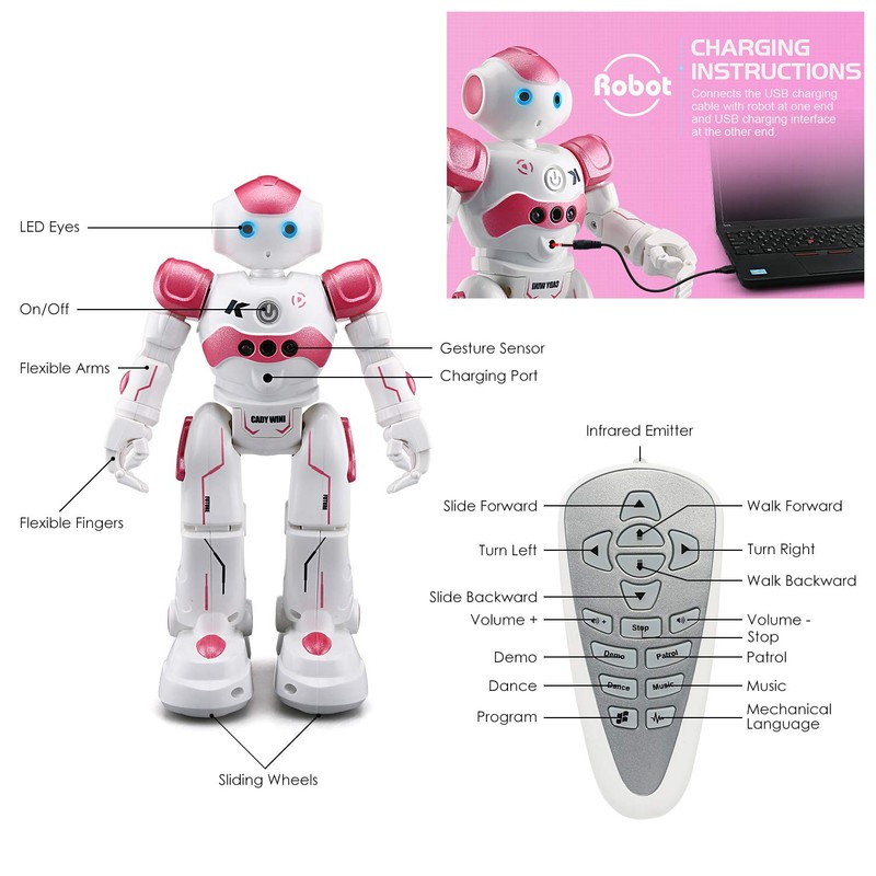 Pup Go Kids Remote Control Smart Ai Robot Toy, Singing