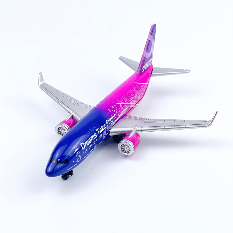 AVIAMUSE Dream 787 Flugzeug