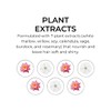 PHYTO Hydrating Day Cream with 7 Plants for Dry Hair,