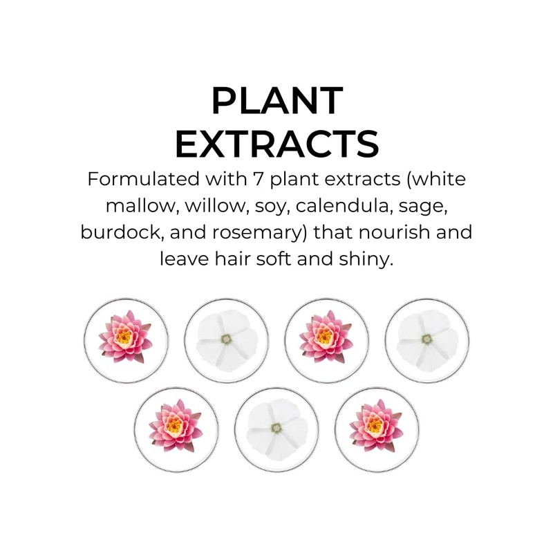 PHYTO Hydrating Day Cream with 7 Plants for Dry Hair,