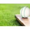 KSZ TRADERS 3 x Soft Rubber Cricket Balls - White