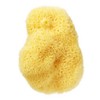 Beautiful Skin Face Cleansing Natural Sponge Large, 1 Piece / 뷰티풀스킨 세안용 천연해면 스펀지 라지, 1개