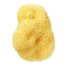 Beautiful Skin Face Cleansing Natural Sponge Large, 1 Piece / 뷰티풀스킨 세안용 천연해면 스펀지 라지, 1개