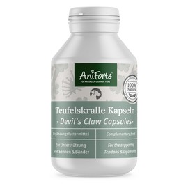 AniForte Teufelskralle Gelenk Kapseln für Hunde 100 Stück - Gelenktabletten als praktische Kapsel, 100% Naturprodukt Gelenke Pulver, Hohe Akzeptanz beim Hund