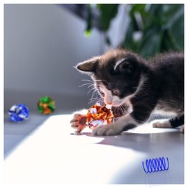 WishLotus Cat Toys for Indoor Cats, Cat Spring Toy 4Pcs and Crinkle Balls 5Pcs High Elasticity Spiral Springs and Crisp Wrinkle Balls for Cats to Swat, Bite, Hunt