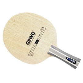 GEWO Blade Hybrid Carbon A/Speed All+, options anatomically