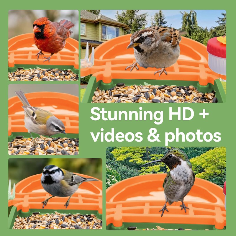 Leapbird Smart Bird Feeder Camera 2.5K HD Live View,Solar Powered,AI