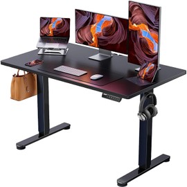 ErGear ErGear Height Adjustable Electric Standing Desk, 48 x 24 Inches Sit Stand up Desk, Memory Computer Home Office Desk (Black)