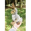 Black Tailed Rabbit Plush Soft Toy 23cm