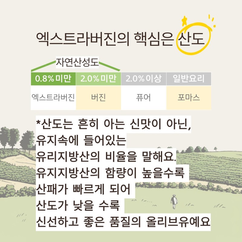 Whole Berry Olive Oil Park So-Hyun Organic Olive Oil Stick