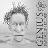 Genius Magnetic Paperclip Holder. Einstein Head Paper Clip Holder -