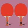 Runwave LW-0321 Table Tennis Racket and Ball Set, Shakehand Double-Sided Paddle 0321 Table Tennis Racket Set 2ea