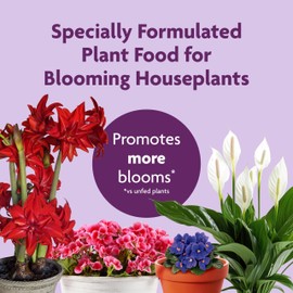 Miracle-Gro Blooming Houseplant Food - Fertilizer for Indoor Plants, 8 fl. oz.
