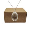 Dandelion Make A Wish Real Flowers 925 Sterling Silver Necklaces