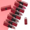 evpct Mauve Gradient Matte Lipstick Lip Liner Combo Set for