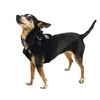 Dogline Boston Step in Mesh Dog Harness with Nose Work