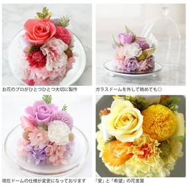 Marika Flower Preserved Flower Buddha Flower Offering Flower Pet Glass Dome Dog Cat Sympathy (Purple)