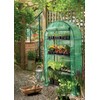 Grow It 08948 45 x 80 x 160 cm Replacement