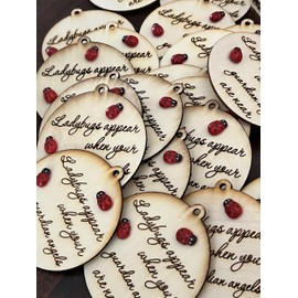 Lady bugs appear when your Guardian angels are near. Grief and Healing ornament or decoration to remind us of those loved and lost