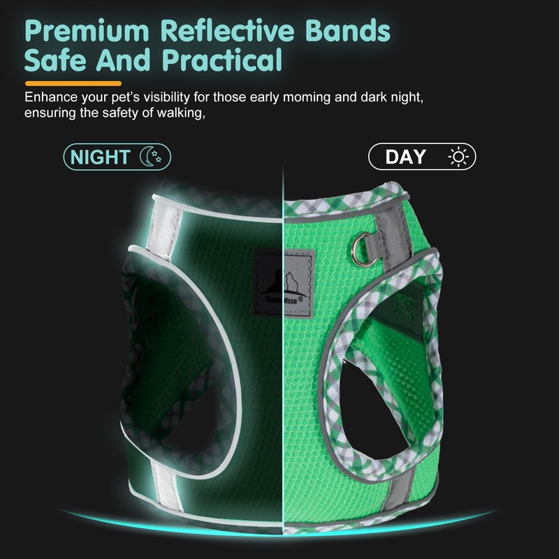 TomteNisse Juego de arnés y correa para perro (verde, XXS)
