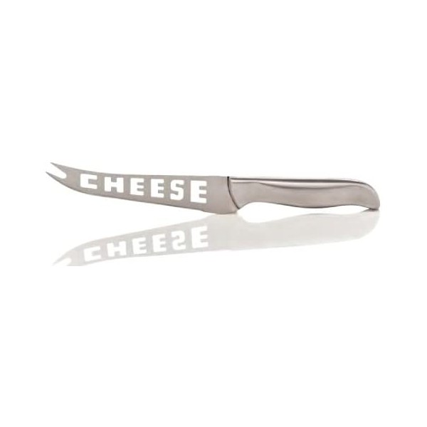Cheese Knife/Server, Stainless Steel