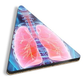 1 x Triangle Coaster - Human 3D Lungs Doctor Hospital Cork Backed MDF Glossy Tea Coffee Accessory #51197