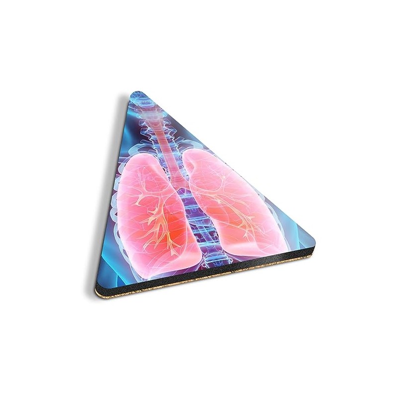 1 x Triangle Coaster - Human 3D Lungs Doctor Hospital