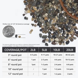 5 lbs Natural River Pebbles, 0.5-1 Inch Aquarium Gravel for Fish Tanks, Succulents, Glass Vase Fillers, Small Decorative Stones for Indoor Fountains, Flower Pots, Bonsai Gardens