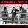 Springsteen's Country