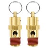 QWORK Brass Pressure Relief Valve (2 Pack) - 1/4 Inch