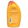 L'Oréal Paris Shampoo 2 en 1 Smopthie Mango Naranja L'Oréal