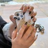 Gradient Magnet Handmade Nail Tips - Stiletto / 그라데이션 자석