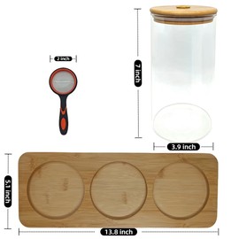 Science Education Worm Compost Experiment bin, Waste Decomposition into composting kit, ant Farming Plant