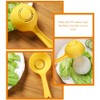 BESTonZON Rice Ball Mold Rice Paddle Scoop Plastic Rice Spoon