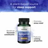 Swanson Apigenin-Bioflavonoid Supplement Natural Prostate Support-Metabolism & Nerve Health Support-Can