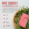 Shampoo and conditioner (Romero, Conditioner Bar)