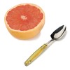 RSVP International Endurance Grapefruit Tool Collection Stainless Steel, Dishwasher Safe,