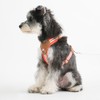 Paipeper Dog Harness, Small Dog Harness, Medium Size Dog Harness,