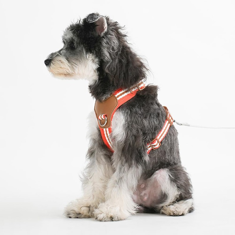 Paipeper Dog Harness, Small Dog Harness, Medium Size Dog Harness,