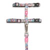 Max and Molly Adjustable Cat Harness and Leash Set -