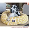 Majestic Pet 40" Charlie Emerald Sherpa Bagel Bed