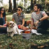 DOITOOL Cast Iron Charcoal Hibachi Grill, Portable Picnic Charcoal Stove