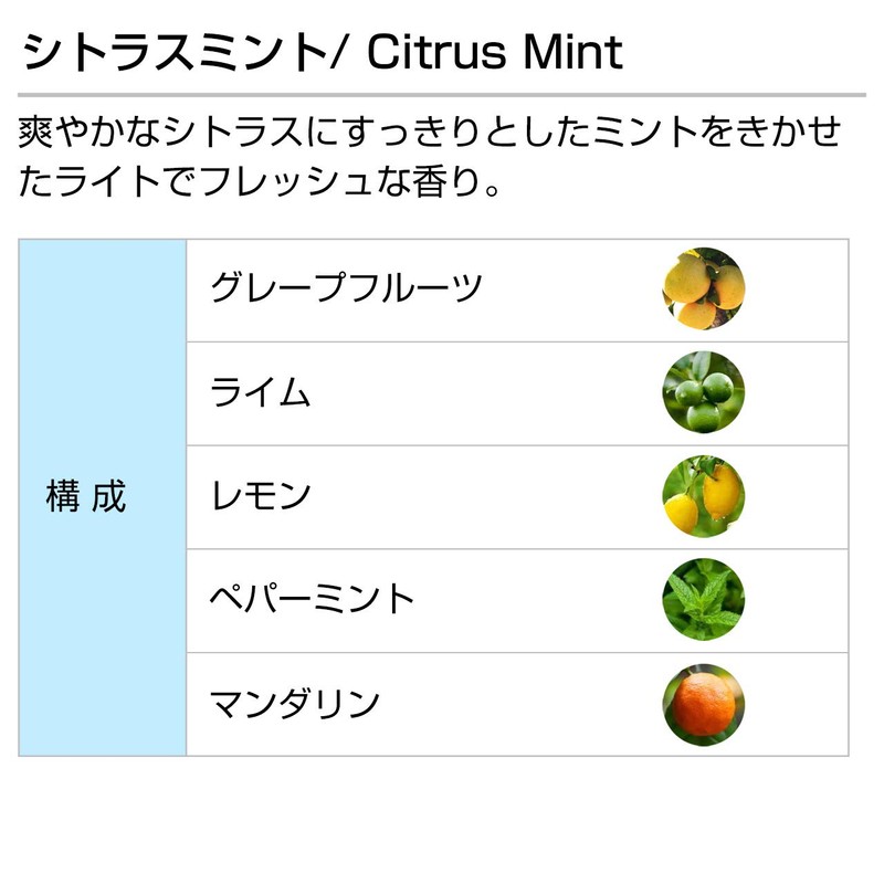Citrus Mint 100ml Aroma Blend Incent Essential Oil 100ml