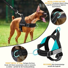 SlowTon No Pull Large Medium Dog Harness and Lead Set, No Choke Escapeproof Neck & Chest Adjustable, 5.9 Ft Dog Lead Anti-Twist Pet Lead, Soft Padded Reflective